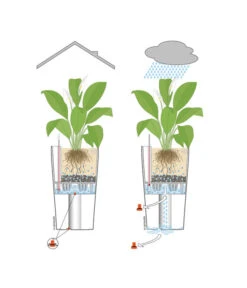 LECHUZA® QUADRO LS, All-in-One-Set -Biohort || LECHUZA Verkaufsgeschäft 001 InOutdoorLechuza 1