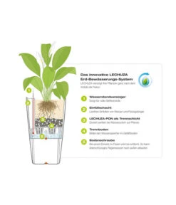 LECHUZA® CLASSICO Color, All-in-One-Set -Biohort || LECHUZA Verkaufsgeschäft 002 Funktionen Indoor Outdoor