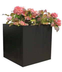 Palatino Metall-Pflanzgefäß Nora, Anthrazit, Ca. B50/H50/T50 Cm -Biohort || LECHUZA Verkaufsgeschäft 2015287 WE FS 002 PalatinoPflanzkastenNora50Anthrazit