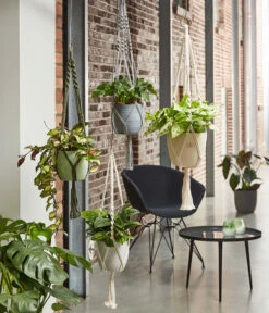 Dehner Makramee-Ampel -Biohort || LECHUZA Verkaufsgeschäft 2061968 4409132 WE MO 001 AmpelMakramee