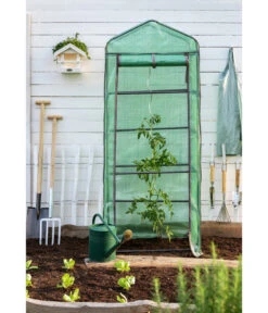 Smart Garden Balkongewächshaus -Biohort || LECHUZA Verkaufsgeschäft 241687 WE MO 004 TomatenSpiralstab2021GC06