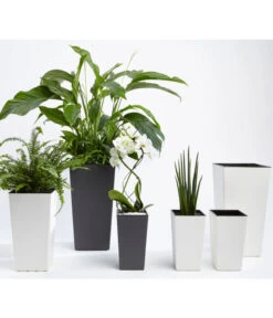 Dehner Kunststoff-Topf Elise, Konisch, Matt, Inkl. Bewässerungsystem -Biohort || LECHUZA Verkaufsgeschäft 2539427 WE MO 001 KunststoffTopfEliseWeissTaupeAnthrazitFotoshootingUveSauerFebruar2016