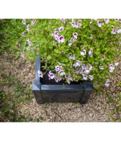 KHW Kunststoff-Pflanzkasten, 43 X 43 X 41 Cm -Biohort || LECHUZA Verkaufsgeschäft 2549376 WE DE 006 Kasten43cmanthrazit