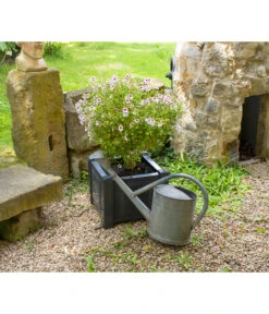 KHW Kunststoff-Pflanzkasten, 43 X 43 X 41 Cm -Biohort || LECHUZA Verkaufsgeschäft 2549376 WE MO 003 Kasten43cmanthrazit