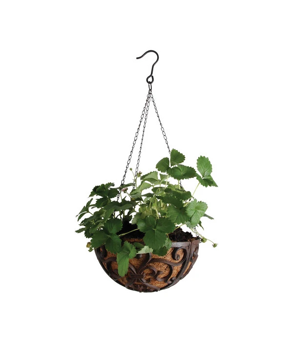 Dehner Gusseisen-Hängeampel Katalonien Mit Kokoseinlage, Rund, Rost, Ca. Ø30/H15 Cm 4 Dehner Gusseisen-Hängeampel Katalonien Mit Kokoseinlage, Rund, Rost, Ca. Ø30/H15 Cm – Bild 2