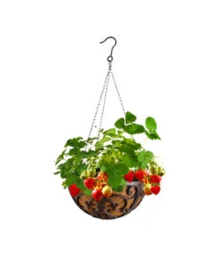 Dehner Gusseisen-Hängeampel Katalonien Mit Kokoseinlage, Rund, Rost, Ca. Ø30/H15 Cm 9 Dehner Gusseisen-Hängeampel Katalonien Mit Kokoseinlage, Rund, Rost, Ca. Ø30/H15 Cm -Biohort || LECHUZA Verkaufsgeschäft 2745461 WE MO 001 GusseisenHaengeampel30cm