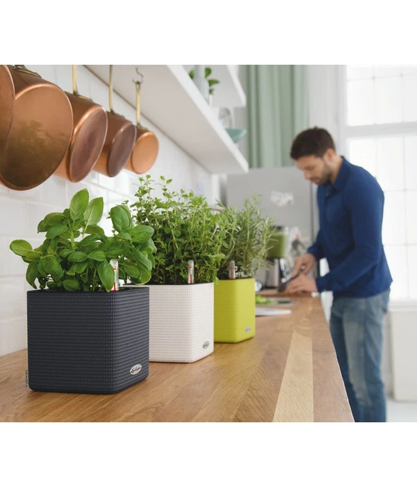 LECHUZA® CUBE Color, All-in-One Set – Bild 5