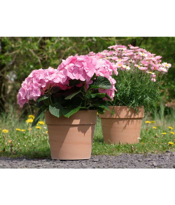 Spang Terrakotta-Pflanzgefäß Calima 6 Spang Terrakotta-Pflanzgefäß Calima – Bild 4