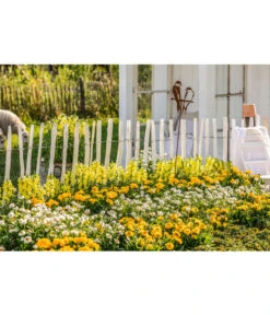 Naturzaun Haselnuss, Ca. 5 M -Biohort || LECHUZA Verkaufsgeschäft 3003936 WE MO 007 NaturzaunHaselnuss 5m