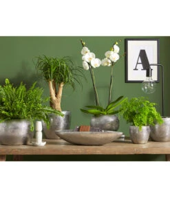 Dehner Keramik-Übertopf Rosella, Bauchig, Silber -Biohort || LECHUZA Verkaufsgeschäft 3136926 PR MO 003 KeramikSerieRosellaChromUveSauer