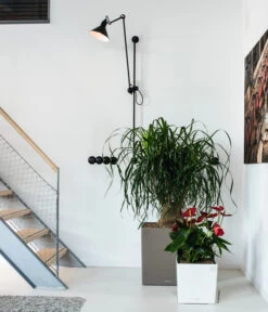 LECHUZA® CUBE, All-in-One Set -Biohort || LECHUZA Verkaufsgeschäft 3179850 3179637 WE MO 008 CubePremiumWeissTaupe