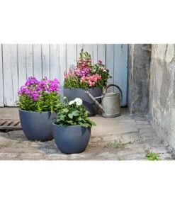 Dehner Leichtbeton-Pflanztopf Manchester, Rund, Antik-schwarz -Biohort || LECHUZA Verkaufsgeschäft 3337151 3337169 3337136 3337144 WE MO 002 DehnerLeichtbetonPflanztopfantikschwarz