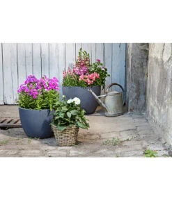 Dehner Leichtbeton-Pflanztopf Manchester, Rund, Antik-schwarz -Biohort || LECHUZA Verkaufsgeschäft 3337151 3337169 3337136 3337144 WE MO 003 DehnerLeichtbetonPflanztopfantikschwarz