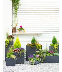 Dehner Kunststoff-Raumtrenner Palermo, Rechteckig, Anthrazit, Ca. B60/H60/T26 Cm 8 Dehner Kunststoff-Raumtrenner Palermo, Rechteckig, Anthrazit, Ca. B60/H60/T26 Cm -Biohort || LECHUZA Verkaufsgeschäft 3728110 3940764 3693611 WE MO 001 KunststoffPflanzkastenKubus