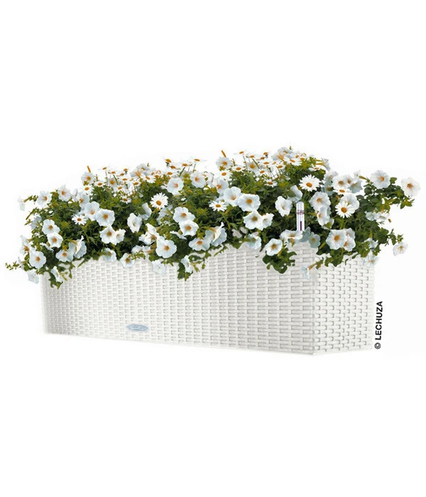 LECHUZA® Kunststoff-Kasten Balconera Cottage, Rechteckig – Bild 2