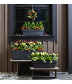 Efeu, Verschiedene Sorten -Biohort || LECHUZA Verkaufsgeschäft 3940764 PR MO 001 KunststoffKastenKubus