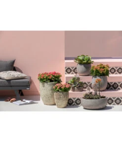 Dehner Leichtbeton-Schale Balloon Stone, Grau -Biohort || LECHUZA Verkaufsgeschäft 4058046 4058087 4057972 WE MO 005 DehnerLeichtbetonTopfBalloon