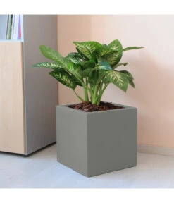 Farmet Kunststoff-Pflanzkübel Atlantis, Doppelwandig -Biohort || LECHUZA Verkaufsgeschäft 4109971 WE DE 002 ATLANTISRechteckigerDoppelwandigerPflanzkuebel39x39x39cmhochSTEINBEIGE