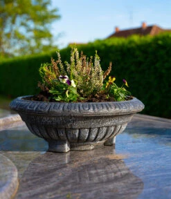 Roto Kunststoff-Pflanzschale Ballett, Rund, Bronze, Ca. Ø50/H18,5 Cm -Biohort || LECHUZA Verkaufsgeschäft 4142303 WE MO 002 RotoSchaleBallett