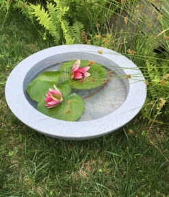 Roto Kunststoff-Pflanzschale Ballett, Rund, Hellgrau, Ca. Ø60/H18 Cm -Biohort || LECHUZA Verkaufsgeschäft 4142485 WE MO 002 RotoSchaleBallett600