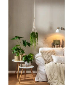 Dehner Makramee-Ampel -Biohort || LECHUZA Verkaufsgeschäft 4152484 PR MO 001 TopfFreshBraunGrau 4408951 4408977 4408985 4409132