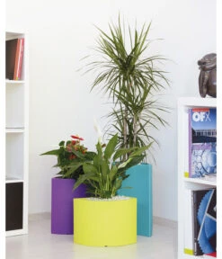 Farmet Kunststoff-Pflanzkübel-Set Blütenblatt Petalo, Ca. ø 50/H50 Cm, 3-teilig -Biohort || LECHUZA Verkaufsgeschäft 4186318 WE DE 002 PETALOBLueTENBLATT SETMIT3STueCKENDurchmesser50cm50cmhochWEISS