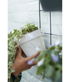 Elho Metall-Wandgitter Für Töpfe Loft Urban Green Wall Gestell, Ca. B47,3/H59/T1,5 Cm, Schwarz -Biohort || LECHUZA Verkaufsgeschäft 4315917 4315677 WE MO 002 elhoMetallWandgitterWandhaengetopf