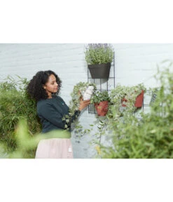 Elho Metall-Wandgitter Für Töpfe Loft Urban Green Wall Gestell, Ca. B47,3/H59/T1,5 Cm, Schwarz -Biohort || LECHUZA Verkaufsgeschäft 4315917 WE MO 003 elhoMetallWandgitterfuerToepfeBlumentopfurbangardening