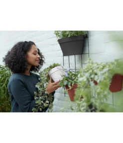 Elho Metall-Wandgitter Für Töpfe Loft Urban Green Wall Gestell, Ca. B47,3/H59/T1,5 Cm, Schwarz -Biohort || LECHUZA Verkaufsgeschäft 4315917 WE MO 005 elhoMetallWandgitterfuerToepfeBlumentopfurbangardening