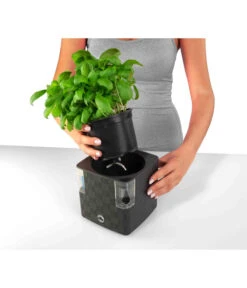 Dehner Kunststoff-Topf Mona, Eckig, Ca. B14/H14/T14 Cm -Biohort || LECHUZA Verkaufsgeschäft 4320743 PR FS 002 KunststoffTopfMonaGrau