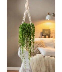 Dehner Makramee-Ampel -Biohort || LECHUZA Verkaufsgeschäft 4409132 PR MO 003 AmpelnFreshMakramee