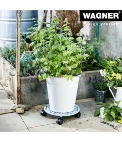 Wagner Pflanzroller, Ø 29 Cm -Biohort || LECHUZA Verkaufsgeschäft 4426243 WE MO 001 PflRollerMultiGusseisen