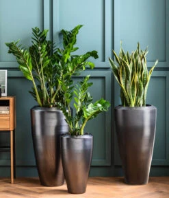 Dehner Keramik-Vase Lissabon Mit LECHUZA® Bewässerungssystem, Konisch -Biohort || LECHUZA Verkaufsgeschäft 4448833 4448858 4448841 WE MO 002 PflanzvaseLissabonAnthrazit