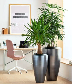 Dehner Keramik-Vase Lissabon Mit LECHUZA® Bewässerungssystem, Konisch -Biohort || LECHUZA Verkaufsgeschäft 4448833 WE MO 001 KeramikVaseLissabon