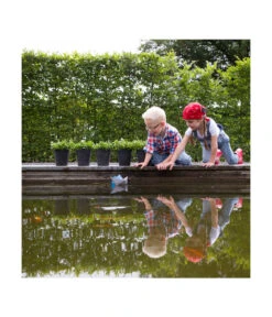 Artstone Kunststoff-Blumentopf Claire, Rund -Biohort || LECHUZA Verkaufsgeschäft 5160395 WE MO 002 KunststoffTopfClaireschwarz