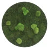 StyleGREEN Bild Aus Wald- Und Kugelmoos, Kreisförmig, Ca. Ø80 Cm -Biohort || LECHUZA Verkaufsgeschäft 6429781 WE FS 001 Wald KugelmoosbildD80cm