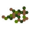 StyleGREEN Bilder-Set Aus Moos Und Kork, Hexagon, 25-teilig -Biohort || LECHUZA Verkaufsgeschäft 6429849 WE FS 001 HexagonSet25er