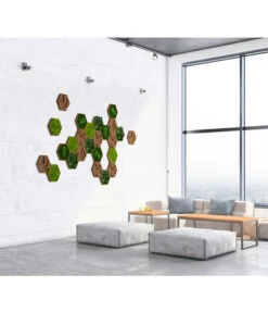 StyleGREEN Bilder-Set Aus Moos Und Kork, Hexagon, 25-teilig 5 StyleGREEN Bilder-Set Aus Moos Und Kork, Hexagon, 25-teilig -Biohort || LECHUZA Verkaufsgeschäft 6429849 WE MO 001 HexagonSet25er
