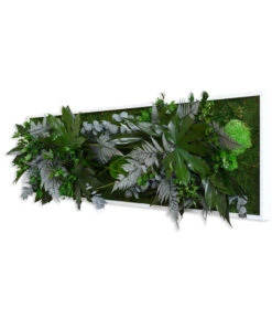 StyleGREEN Bild Im Dschungeldesign, Rechteckig, Ca. B140/H40/T20 Cm 7 StyleGREEN Bild Im Dschungeldesign, Rechteckig, Ca. B140/H40/T20 Cm -Biohort || LECHUZA Verkaufsgeschäft 6429906 WE FS 002 Pflanzenbild140x40cmStylegreen
