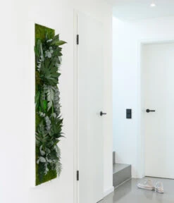 StyleGREEN Bild Im Dschungeldesign, Rechteckig, Ca. B140/H40/T20 Cm 9 StyleGREEN Bild Im Dschungeldesign, Rechteckig, Ca. B140/H40/T20 Cm -Biohort || LECHUZA Verkaufsgeschäft 6429906 WE MO 002 Pflanzenbild140x40cmStylegreen