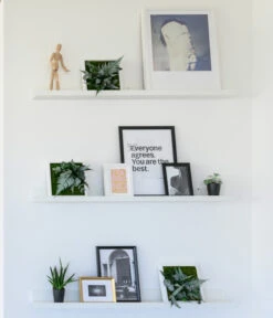 StyleGREEN Bilder-Set Im Dschungeldesign, Quadratisch, 3-teilig -Biohort || LECHUZA Verkaufsgeschäft 6430623 WE MO 001 Pflanzbild22x22cm3erStylegreen