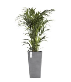 Ecopots Kunststoff-Topf Rotterdam, Quadratisch -Biohort || LECHUZA Verkaufsgeschäft 6614374 WE FS 003 EcopotsKunststoffTopfRotterdamhalbhochquadratisch