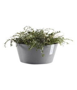 Ecopots Kunststoff-Topf Frankfurt, Rund 10 Ecopots Kunststoff-Topf Frankfurt, Rund -Biohort || LECHUZA Verkaufsgeschäft 6614952 WE FS 003 EcopotsKunststoffTopfFrankfurtrund