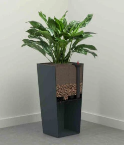 Siena Garden Kunststoff-Säule Lyon, Konisch, Ca. B35/H68/T35 Cm 12 Siena Garden Kunststoff-Säule Lyon, Konisch, Ca. B35/H68/T35 Cm -Biohort || LECHUZA Verkaufsgeschäft 6655351 WE DE 001 PflanzgefaessLyon35Anthrazit