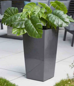 Siena Garden Kunststoff-Säule Lyon, Konisch, Ca. B35/H68/T35 Cm 10 Siena Garden Kunststoff-Säule Lyon, Konisch, Ca. B35/H68/T35 Cm -Biohort || LECHUZA Verkaufsgeschäft 6655351 WE MO 002 PflanzgefaessLyon35Anthrazit