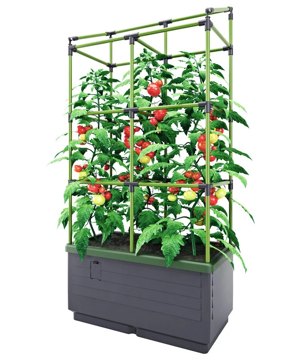 Bio Green Hochbeet City Jungle, Ca. B62/H128/T33 Cm 5 Bio Green Hochbeet City Jungle, Ca. B62/H128/T33 Cm – Bild 3