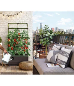 Bio Green Hochbeet City Jungle, Ca. B62/H128/T33 Cm 16 Bio Green Hochbeet City Jungle, Ca. B62/H128/T33 Cm -Biohort || LECHUZA Verkaufsgeschäft 6731566 WE MO 001 BioGreenHochbeetmitRankgitterCityJungleNEU