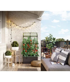 Bio Green Hochbeet City Jungle, Ca. B62/H128/T33 Cm 18 Bio Green Hochbeet City Jungle, Ca. B62/H128/T33 Cm -Biohort || LECHUZA Verkaufsgeschäft 6731566 WE MO 004 BioGreenHochbeetmitRankgitterCityJungleNEU