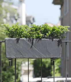 Climaqua Schiefer-Kasten Jardi, Rechteckig -Biohort || LECHUZA Verkaufsgeschäft 6877716 WE MO 001 ClimaquaSchieferKastenJardirechteckig