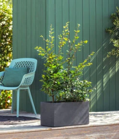 Kunststoff-Kasten Kebe, Rechteckig, Ca. B100/H40/T40 Cm -Biohort || LECHUZA Verkaufsgeschäft 6935449 WE MO 001 PflanzkastenKebeAnthrazit